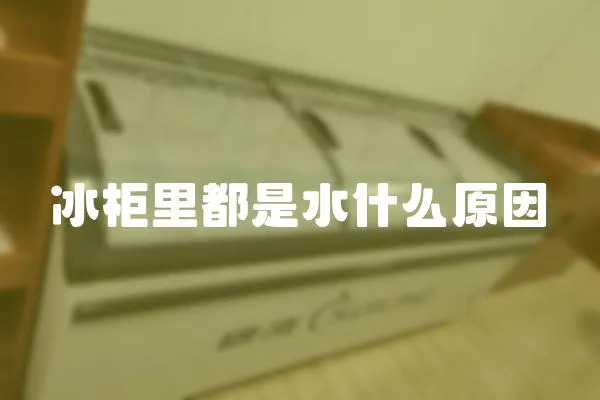 冰柜里都是水什么原因
