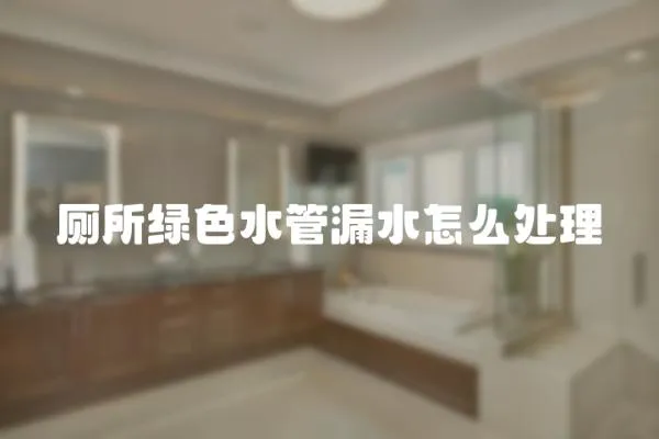 廁所綠色水管漏水怎么處理