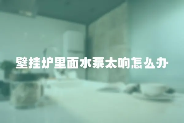 壁掛爐里面水泵太響怎么辦