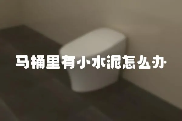 馬桶里有小水泥怎么辦
