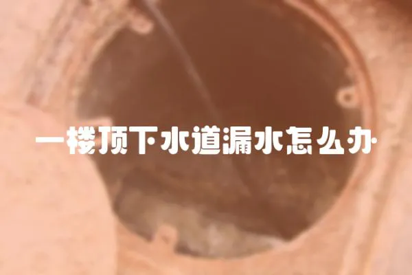 一樓頂下水道漏水怎么辦