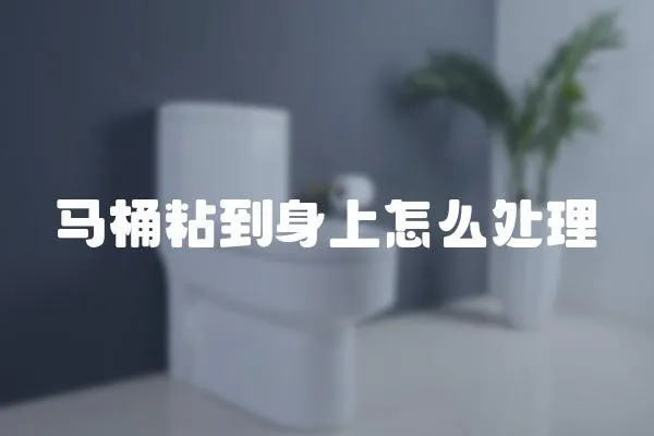 馬桶粘到身上怎么處理