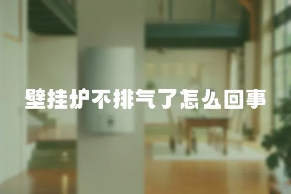 壁掛爐不排氣了怎么回事