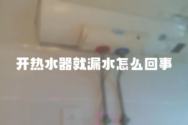 開熱水器就漏水怎么回事