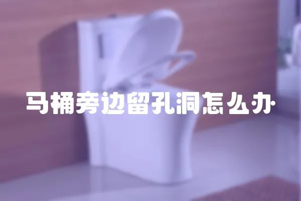 馬桶旁邊留孔洞怎么辦