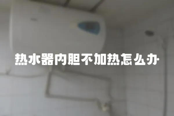 熱水器內膽不加熱怎么辦