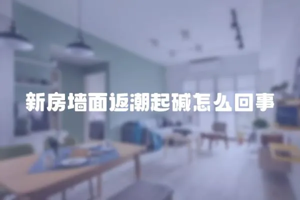 新房墻面返潮起堿怎么回事