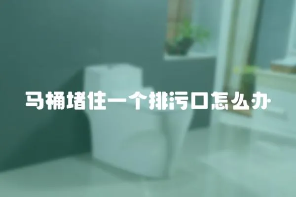 馬桶堵住一個排污口怎么辦