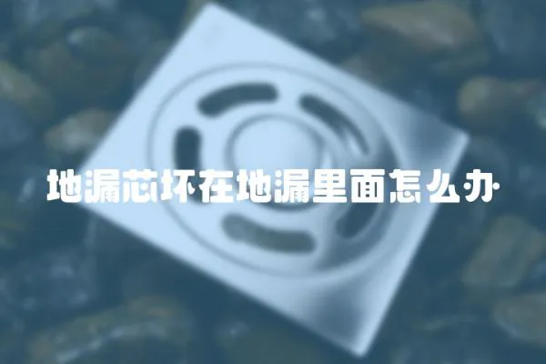 地漏芯壞在地漏里面怎么辦
