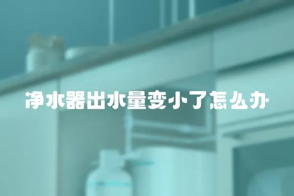 凈水器出水量變小了怎么辦