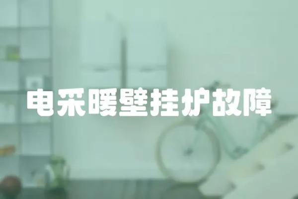 電采暖壁掛爐故障