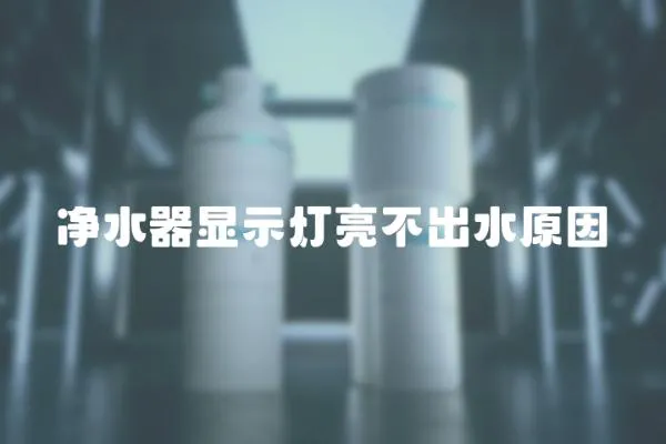 凈水器顯示燈亮不出水原因