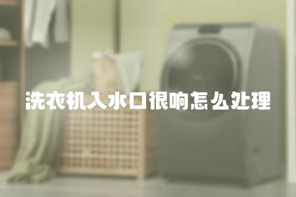 洗衣機入水口很響怎么處理