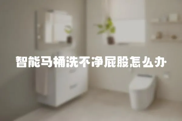 智能馬桶洗不凈屁股怎么辦