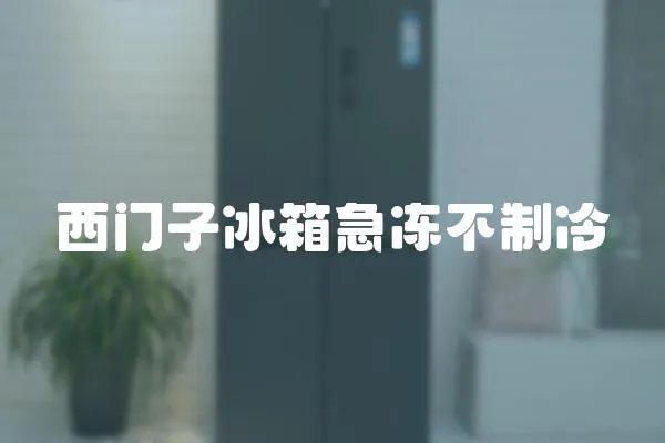 西門子冰箱急凍不制冷
