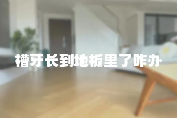 槽牙長(zhǎng)到地板里了咋辦