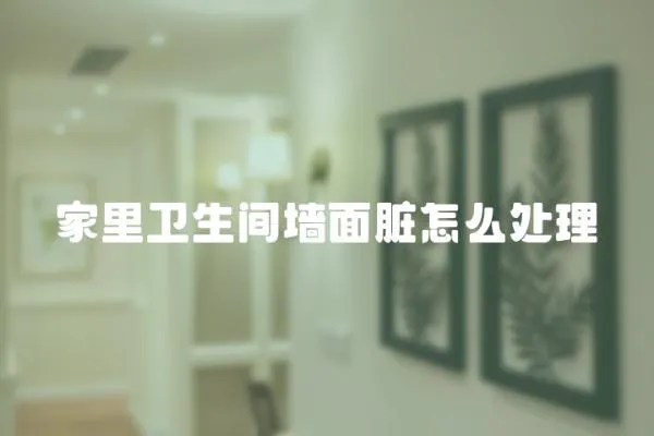 家里衛生間墻面臟怎么處理