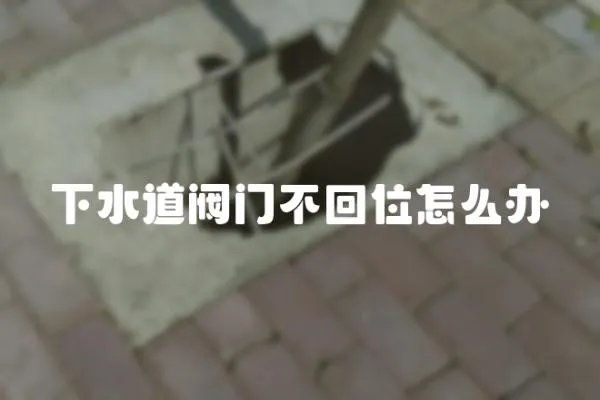 下水道閥門不回位怎么辦