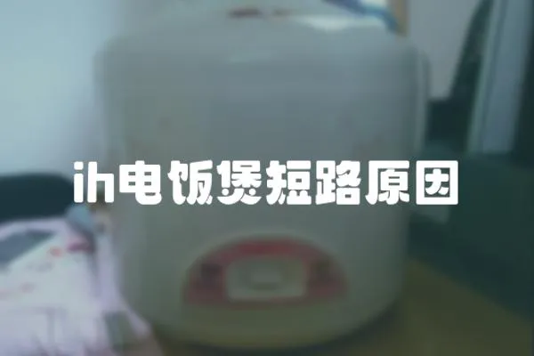 ih電飯煲短路原因