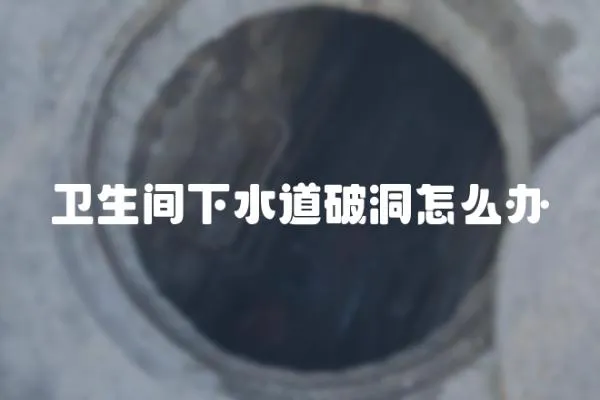 衛(wèi)生間下水道破洞怎么辦