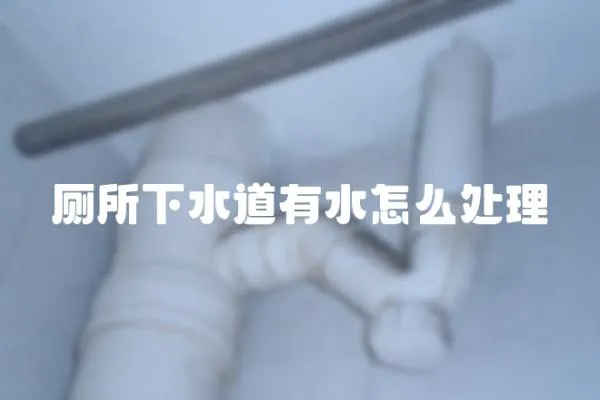 廁所下水道有水怎么處理
