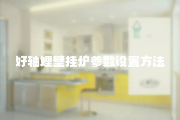 好軸娌壁掛爐參數設置方法