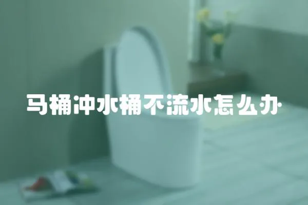 馬桶沖水桶不流水怎么辦