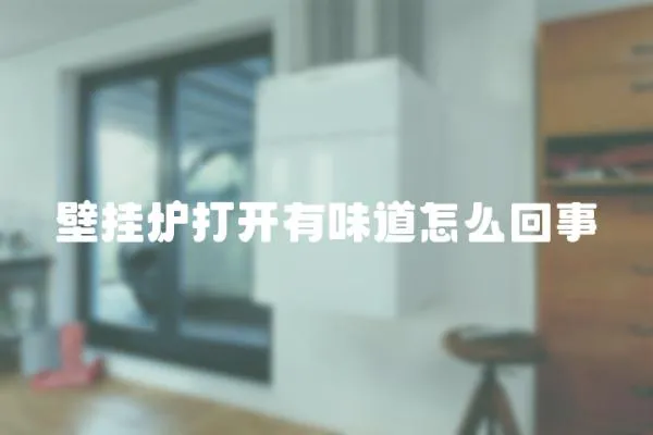 壁掛爐打開有味道怎么回事
