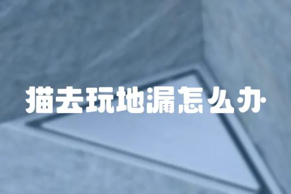 貓去玩地漏怎么辦