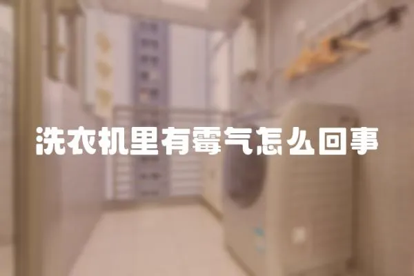 洗衣機里有霉氣怎么回事