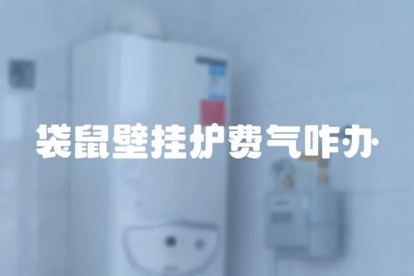 袋鼠壁掛爐費氣咋辦