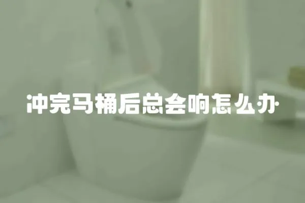 沖完馬桶后總會響怎么辦