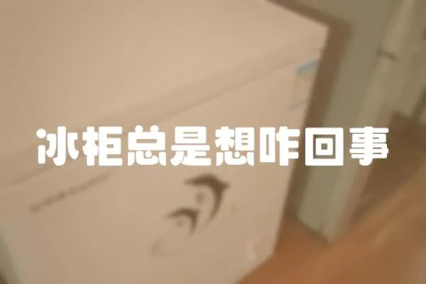 冰柜總是想咋回事