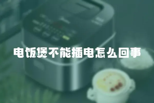 電飯煲不能插電怎么回事