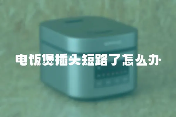 電飯煲插頭短路了怎么辦