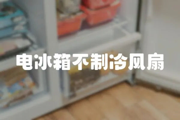 電冰箱不制冷風扇