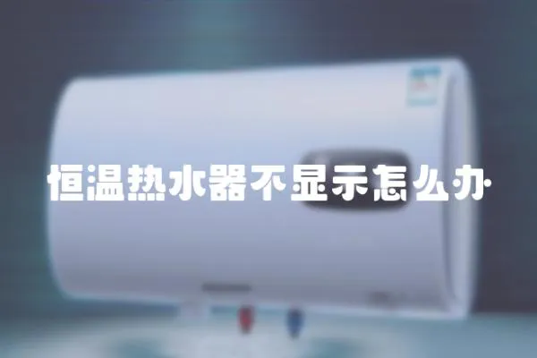 恒溫?zé)崴鞑伙@示怎么辦