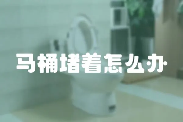 馬桶堵著怎么辦