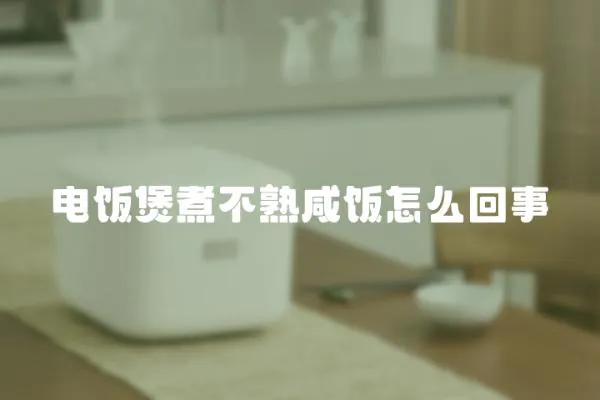 電飯煲煮不熟咸飯怎么回事