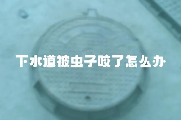 下水道被蟲子咬了怎么辦