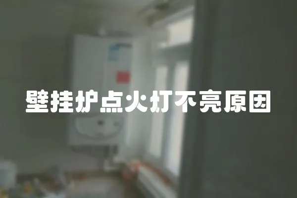 壁掛爐點火燈不亮原因