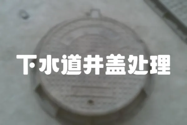 下水道井蓋處理