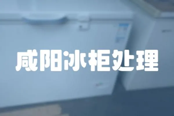咸陽冰柜處理