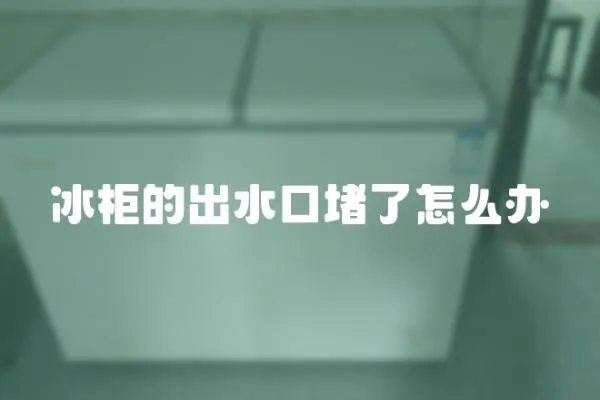冰柜的出水口堵了怎么辦