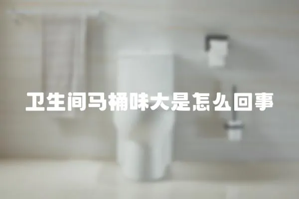 衛生間馬桶味大是怎么回事