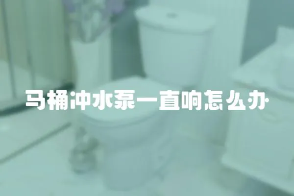 馬桶沖水泵一直響怎么辦