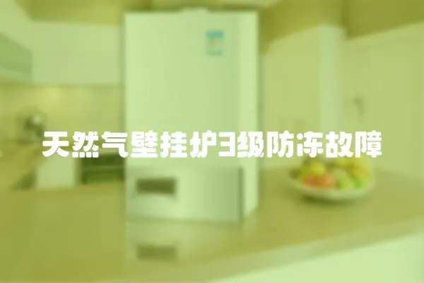 天然氣壁掛爐3級防凍故障