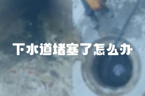 下水道堵塞了怎么辦