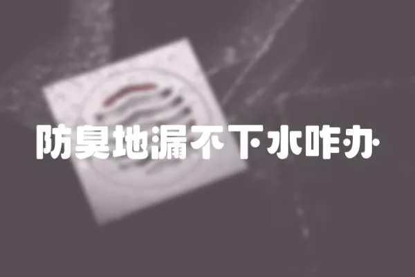 防臭地漏不下水咋辦