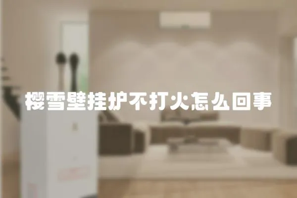 櫻雪壁掛爐不打火怎么回事